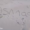 asmaa106613641