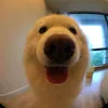 anhthibietcaideogi2