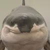 accnaychocongviec