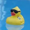 joemamajt