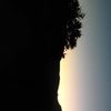 elyspain_18