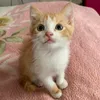 anna_sai2