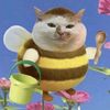 _bb4nana