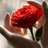jadeduong8
