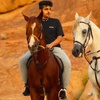 محمد🐎|AL-SHAMRI