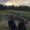 oakleyandmillie