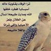 abeer_104