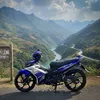 nguyentrung_1991