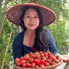 31468502849thuhuong