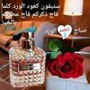 dy3sxzpz723b