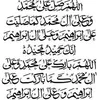 shaziarashid07