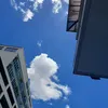 sandrasoares767