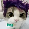 bviqwel_01