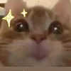 ngdtnguien