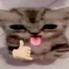 _uwu.0o