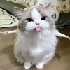 anabulku19