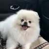 tamara_04110