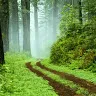 salmankhan53458