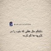 mashal_hayat