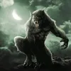 UMAR