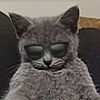 _jeqq_