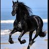fahadeid5
