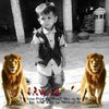 amirmalikk110