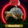 bouchraassahraoui