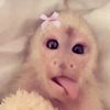 sweetp4nhaa
