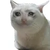screams_in_anime