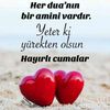user170360094