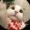 nana_2t0