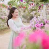 lientrungthuy