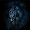 shah_momtaz_4d