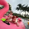 dinhmydung.74
