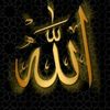 user0214446662