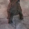unsimple_viendotiktok