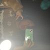 karlahay_3