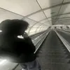 hollownotfound