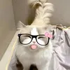 thyythyy41