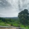 luwilayn
