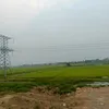 anhle23112002