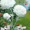 abumuhammadaldahami