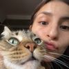 tefitacats