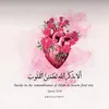 sidnaveed