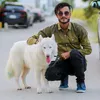 alirafay96