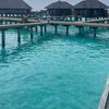 lovely_green14