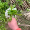 anhpac