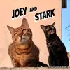 joey_and_stark