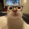 alvzjn_